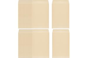 BEZANU Mini Envelope, 100 PCS Kraft Coin Envelopes for Storing Small Items, Seeds, Coins (4.72 x 3.15in)