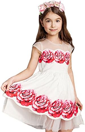 childdkivy Girls Summer Lace Dress Casual Clothing (4(3-4year), 71845)