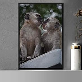 signwin Framed Canvas Wall Art Monkey Animals Expressive...