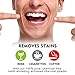 Activated Charcoal Natural Teeth Whitening Powder - Organic Coconut Charcoal - Freshens Breath, Efficient Alternative to Charcoal Toothpaste, Strips, Kits, Gels.2oz by Emibright.