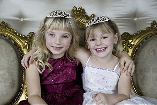 Paxuan 2 Pack Silver Wedding Bridal Crystal Tiara Crown with Comb Rhinestone Princess Headband Headpiece for Girls Women Birthday Pageant Party Wedding Prom Bridal (2PCS)