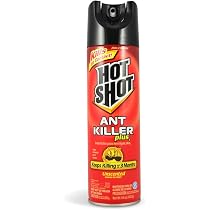 Amazon.com: Hot Shot Ant Killer Plus Aerosol, sin perfume, mata al ...