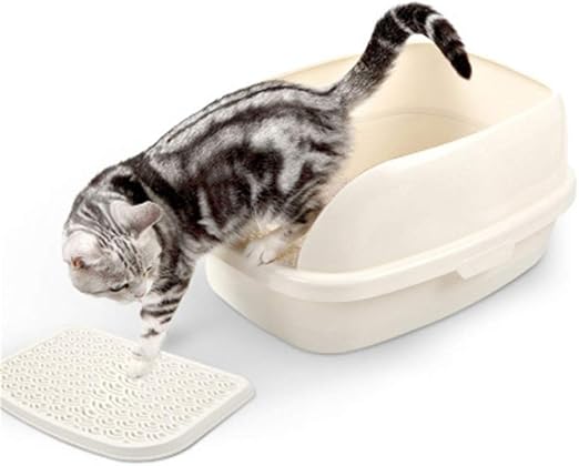 Caja gatos  Los mejores ejemplares de cajas.