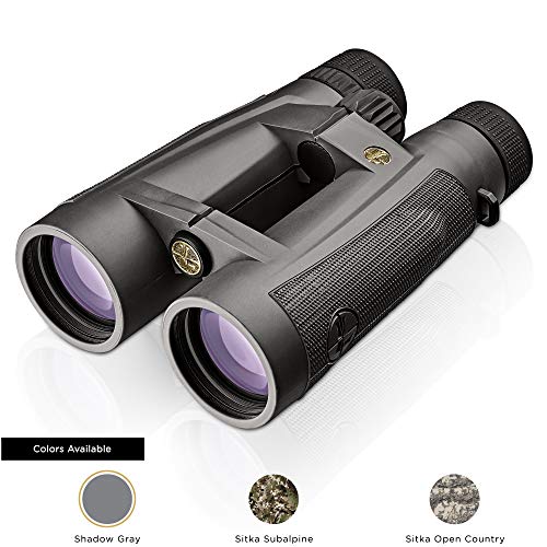 Leupold BX-5 Santiam HD 15x56mm Binocular