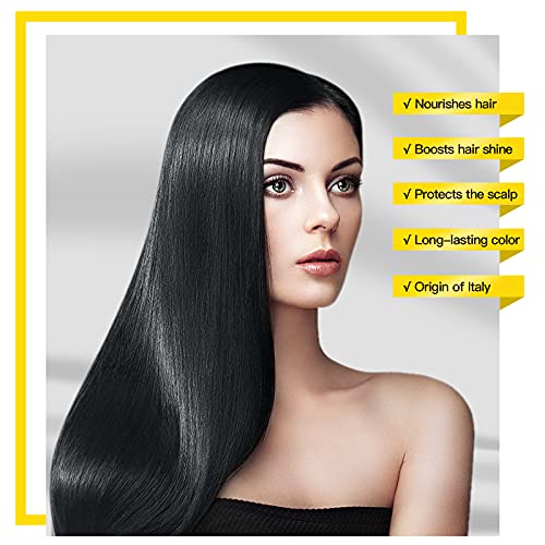 Sanotint Natural Hair Dye, 71 Black Permanent Hair Dye, Ammonia Free