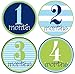 Mumsy Goose Baby Boy Monthly Stickers 1-12 Months Boy Bodysuit Stickers Newborn Photo Prop Nautical Boy Month Pictures
