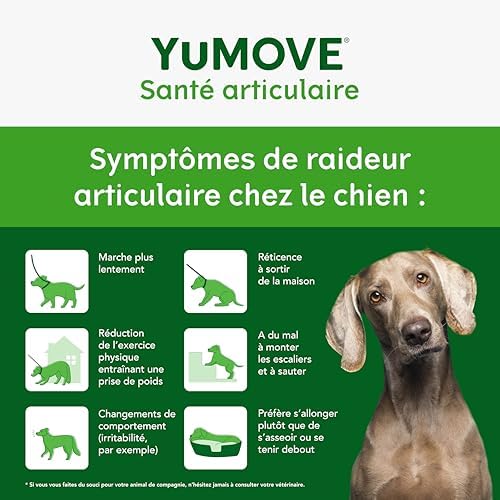 Articulation Chien 2-7 Ans - 300 Comprimés, ActivEase et Omega-3