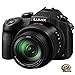 PANASONIC LUMIX FZ1000 4K Point and Shoot Camera, 16X LEICA DC Vario-ELMARIT F2.8-4.0 Lens, 21.1 Megapixels, 1 Inch High Sensitivity Sensor, DMC-FZ1000 (USA BLACK) primary