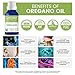 Oregano Organic Essential Oil from Ancient Nutrition, 15 mL - 100% Pure and Therapeutic Grade…