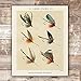 DREAM BIG PRINTABLES Vintage Fly Fishing Decor (Set of 4) - Unframed - 8x10 | Great Gift for Fisherman - Reproductions of Vintage Fishing Lure Art Prints - Rustic Decor