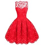 Lace Sleeveless Mesh Pleated Skater Tunic Midi Women Formal evening Prom Dress