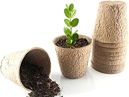 Amazon Com 3 Inch Peat Pots Pack Of 50 Seed Starter Pots 30 Free Plant Markers Biodegradable Peat Pots For Seedlings No Transplant Shock With Seedling Starter Pots Kitchen Dining