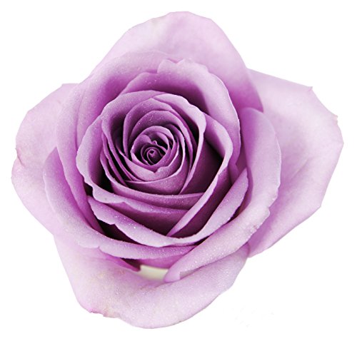 Farm2Door Farm-Fresh Roses, 25/50/100 Fresh Purple Roses