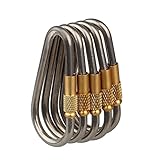 D-FantiX Mini Titanium Carabiner keychain D-ring Locking Carabiner Key chain with Key Rings for Camping Hiking Outdoor Titanium Edc Gear