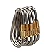 D-FantiX Mini Titanium Carabiner keychain D-ring Locking Carabiner Key chain with Key Rings for Camping Hiking Outdoor Titanium Edc Gear
