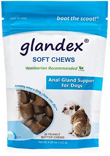 Glandex Soft Chews 30 Count, Anal Gland Fiber & Probiotic Digestive Supplement for Dogs by Glandex
