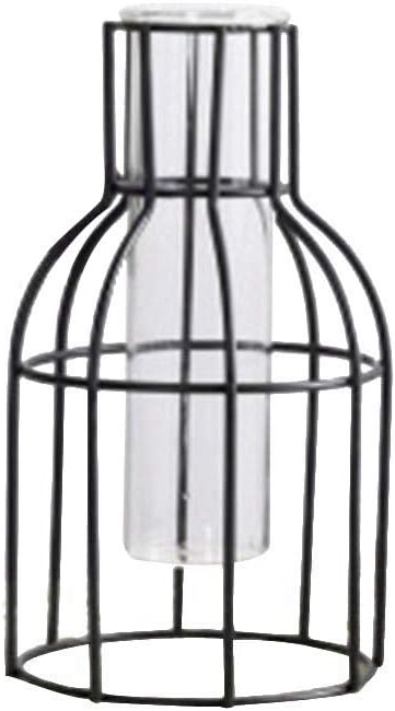 Happy Foward Geometrique En Fer Forge Nordique Minimaliste Vase En Fer Forge Verre Transparent Vase Hydroponique Salon Decoration Decoration De Fleurs Sechees Decoration De La Maison Ameublement Et Decoration Decoration De La