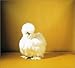 The Fairest Fowl: Portraits of Championship Chickens