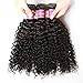 UNice Hair Icenu Series Brazilian Curly Virgin Hair 3 Bundles with 4x4 Lace Closure 100% Unprocessed Human Hair Extensions Weave Natural Color (10 12 14+10, Free Part Lace Closure)