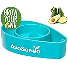 AvoSeedo Bowl Grown Your Own Avocado Tree, Evergreen, Perfect Avocado Tree Growing Kit for Every Avocado Lover - Blue