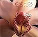 Orchids by 