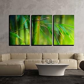 3 Piece Canvas Wall Art - Bamboo - Modern Home Art Stretched and Framed Ready to Hang - 16"x24"x3 Panels