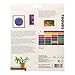 Reeves Water Mixable Oil Color Paint 10ml Tubes, Set of 24, Colour