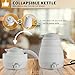 Electric Kettle, 2019 Upgrade 110V/220V Collapsible Travel Accessories for Fast Heating Hot Water, Coffee and Tea, 0.6L Food Grade Silicone Portable Temperature Control Water Boiler