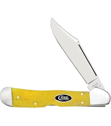 Amazon.com : Case XX WR Pocket Knife Copperlock Sawcut Gray Bone