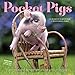 Pocket Pigs 2017 Calendar: The Famous Teacup Pigs of Pennywell Farm
