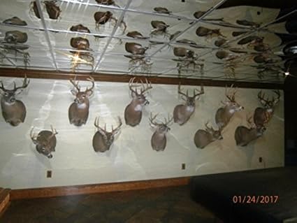 Amazon Com 2 X 2 Mirror Ceiling Tiles Box Of 10 Home Kitchen