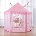 Ejoyous Girls Princess Castle Play Tent (Pink Rug 01)