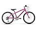 Raleigh Bikes Lily 20 Girl's Mountain Bike, 20