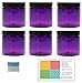 Purple 8 oz Plastic Jars with Black Lids (6 pk) with Mini Jar - PET Round Refillable Containers