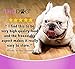 Halo Freeze Dried Raw Dog Food, Turkey Recipe, 100% Protein Source, Real Meat for Natural Energy, Meal Bites, 14 Oz Bag