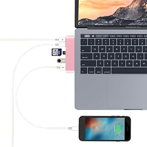 PinPle USB C HUB Dual Type-C Card Reader with 2 USB 3.1 Charging Port & 2 USB 3.0 Port & SD Card Slot & Micro SD Card Slot for MacBook Pro 13" / MacBook Pro 15" (Rose Gold)