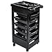 Salon SPA Trolley Storage Cart Coloring Beauty Salon Hair Dryer Holder with 5 Drawers for Tool Storagethumb 3