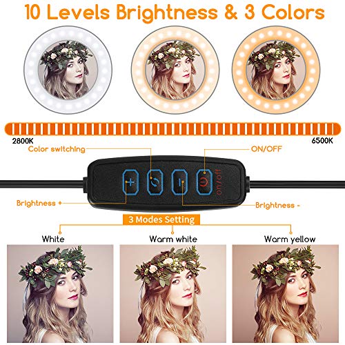 10”Selfie Ring Light with Tripod Stand & Cell Phone Holder with 3 Light Modes & 10 Brightness Level for Streaming Makeup Photography Zoom Wed Conferencing, Live Stream and YouTube Video