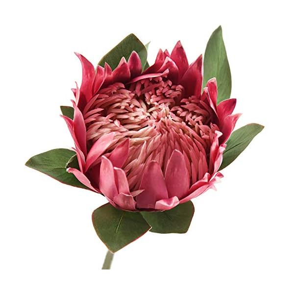 Silk Protea Flowers Silk Flower Arrangements
