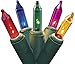 Set of 20 Multi Color Mini Christmas Lights - Green Wire