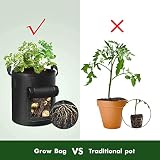 SunStream 12 Pack 10 Gallon Thickened Nonwoven Fabric Grow Bags view 5