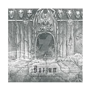 Burzum Burzum From The Depths Of Darkness White Vinyl Double Album Amazon Com Music