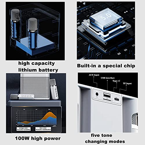 Roadpassion Karaoke Machine,Rechargeable Portable Bluetooth Karaoke Speaker with 2 Wireless Microphones Karaoke Equipment for Indoor Outdoor Party