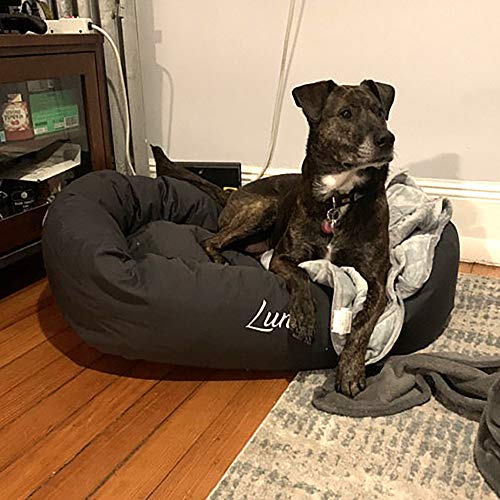 Personalized Majestic Pet Bagel Dog Bed Machine Washable Soft