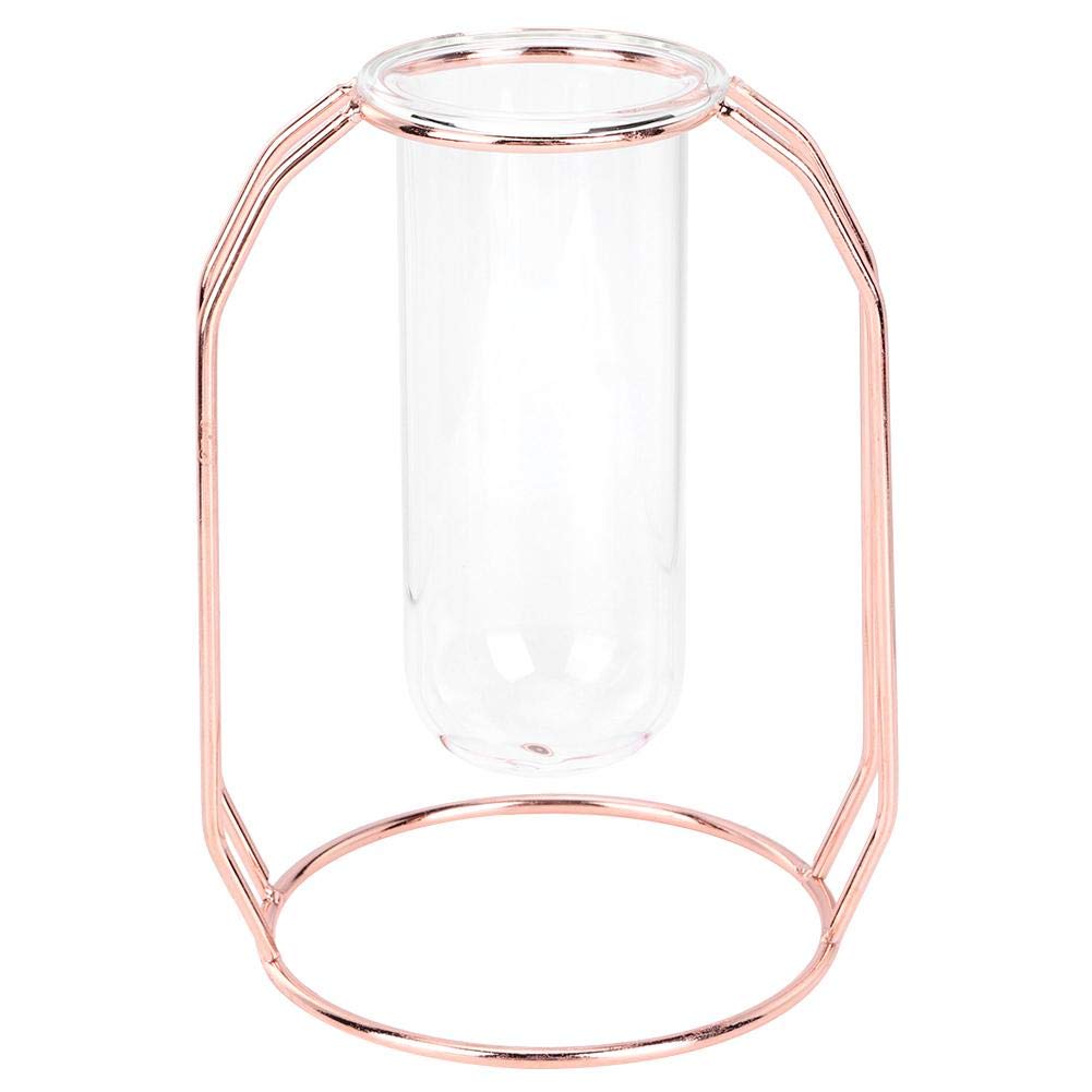 Ymiko Glass Planter Plant Terrarium Hydroponics Vase for Garden Cultivation Decoration(玫瑰金)