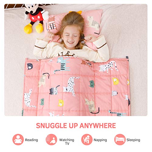 Mr. Sandman 5 lbs Weighted Blanket for Kids Twin Size Bed, Perfect for