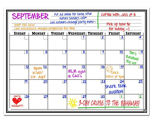 Smart Planner Magnetic Dry Erase Board Monthly Calendar Planner, 12 x 16-Inch