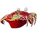 Jacobson Hat Company Men's Iridescent Crab Hat, Red, Adult