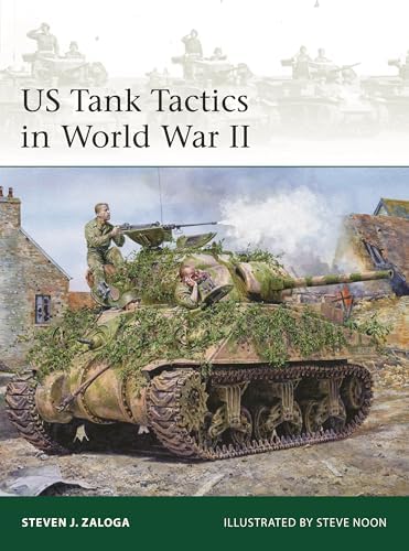 German and Italian Tanks in Italy 1943–45 (New Vanguard, 344