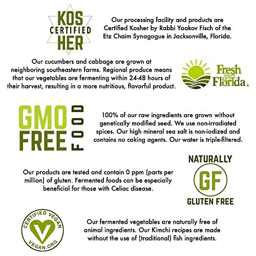 Olive My Pickle Fermented & Probiotic Sauerkraut for Gut Health 16 OZ